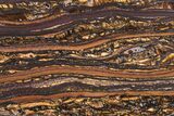 Polished Tiger Iron Stromatolite Slab - Billion Years #222077-1